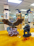 American eagle and soldier